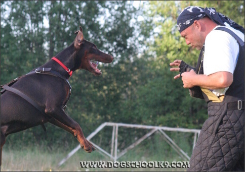 Summer training camp in Finland 2007